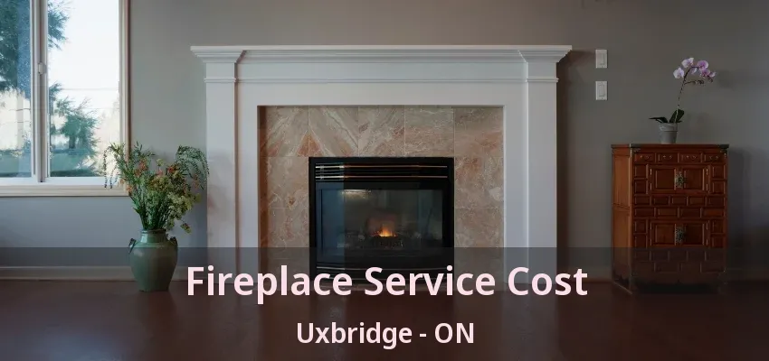Fireplace Service Cost Uxbridge - ON