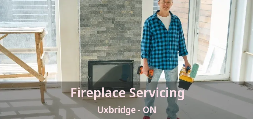 Fireplace Servicing Uxbridge - ON