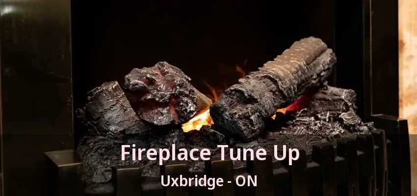 Fireplace Tune Up Uxbridge - ON Fireplace Tune Up Uxbridge - ON