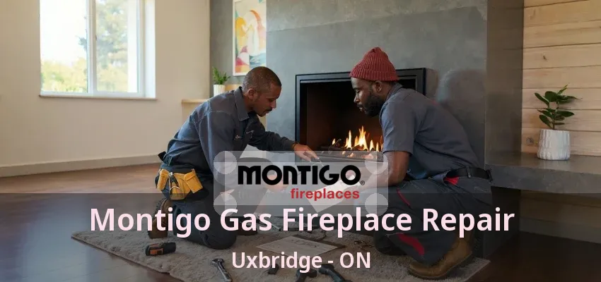 Montigo Gas Fireplace Repair Uxbridge - ON