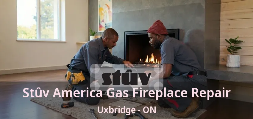 Stûv America Gas Fireplace Repair Uxbridge - ON
