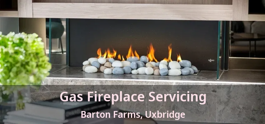 Gas Fireplace Servicing Barton Farms, Uxbridge - ON