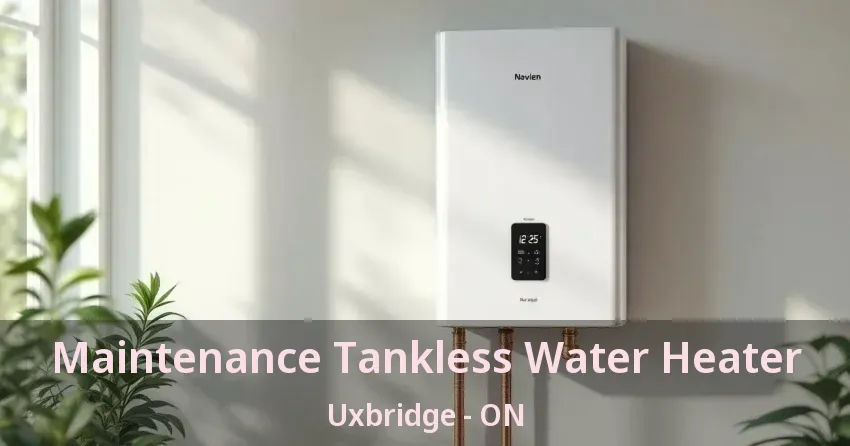 Maintenance Tankless Water Heater Uxbridge - ON