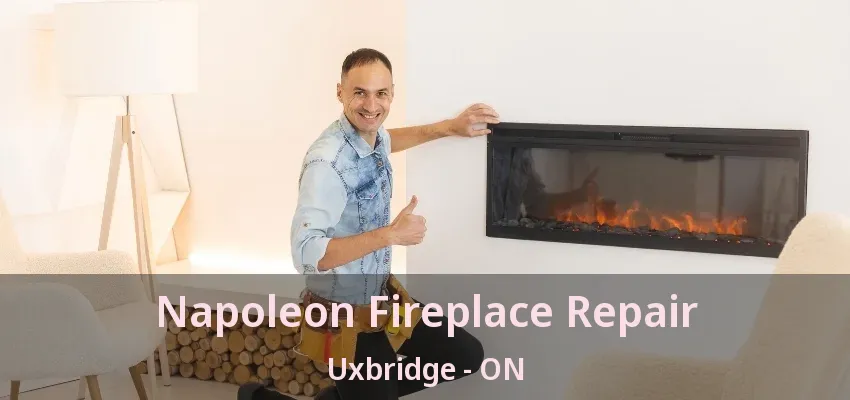 Napoleon Fireplace Repair Uxbridge - ON