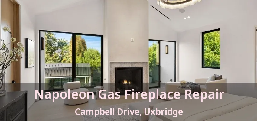Napoleon Gas Fireplace Repair Campbell Drive, Uxbridge - ON