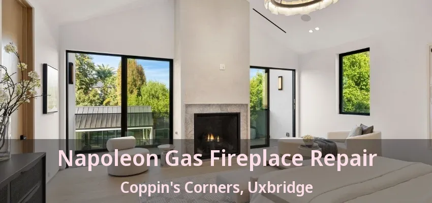 Napoleon Gas Fireplace Repair Coppin's Corners, Uxbridge - ON Napoleon Gas Fireplace Repair Coppin's Corners, Uxbridge - ON