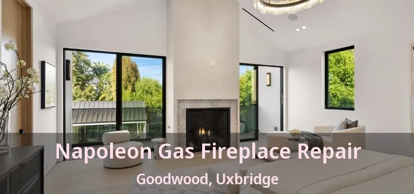 Napoleon Gas Fireplace Repair Goodwood, Uxbridge - ON