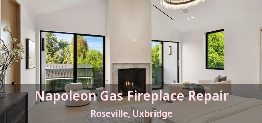 Napoleon Gas Fireplace Repair Roseville, Uxbridge - ON Napoleon Gas Fireplace Repair Roseville, Uxbridge - ON