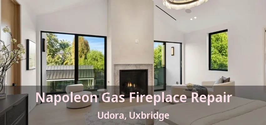 Napoleon Gas Fireplace Repair Udora, Uxbridge - ON