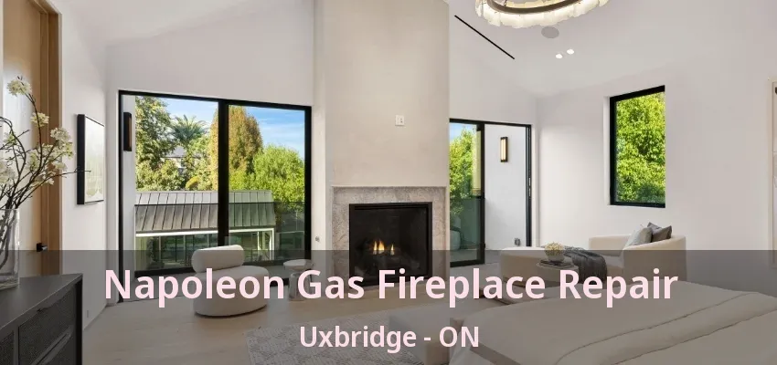 Napoleon Gas Fireplace Repair Uxbridge - ON