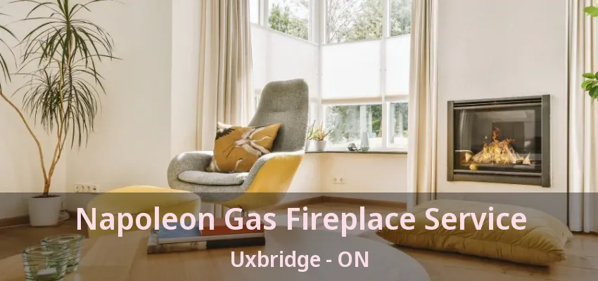 Napoleon Gas Fireplace Service Uxbridge - ON