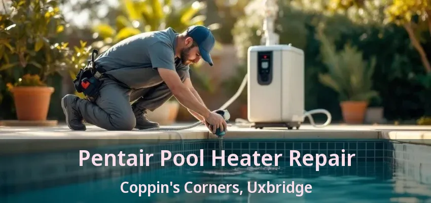 Pentair Pool Heater Repair Coppin's Corners, Uxbridge - ON