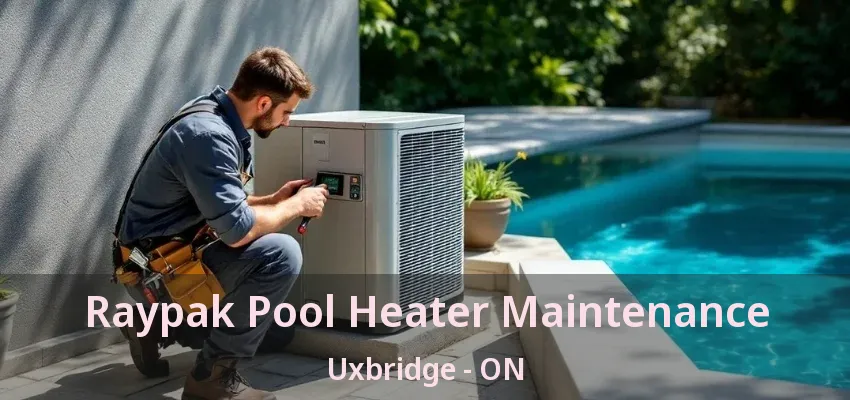 Raypak Pool Heater Maintenance Uxbridge - ON Raypak Pool Heater Maintenance Uxbridge - ON