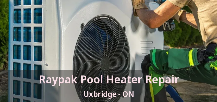 Raypak Pool Heater Repair Uxbridge - ON