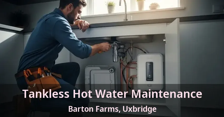 Tankless Hot Water Maintenance Barton Farms, Uxbridge - ON Tankless Hot Water Maintenance Barton Farms, Uxbridge - ON