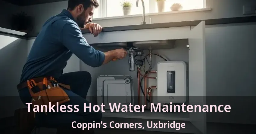 Tankless Hot Water Maintenance Coppin's Corners, Uxbridge - ON Tankless Hot Water Maintenance Coppin's Corners, Uxbridge - ON