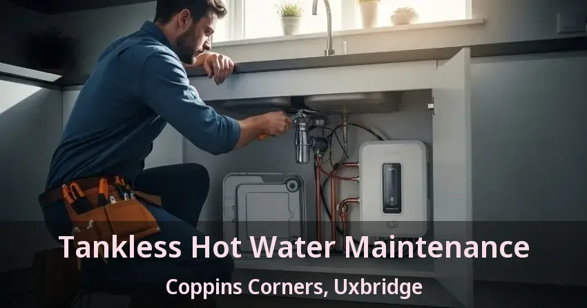 Tankless Hot Water Maintenance Coppins Corners, Uxbridge - ON Tankless Hot Water Maintenance Coppins Corners, Uxbridge - ON