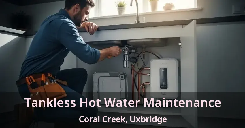 Tankless Hot Water Maintenance Coral Creek, Uxbridge - ON