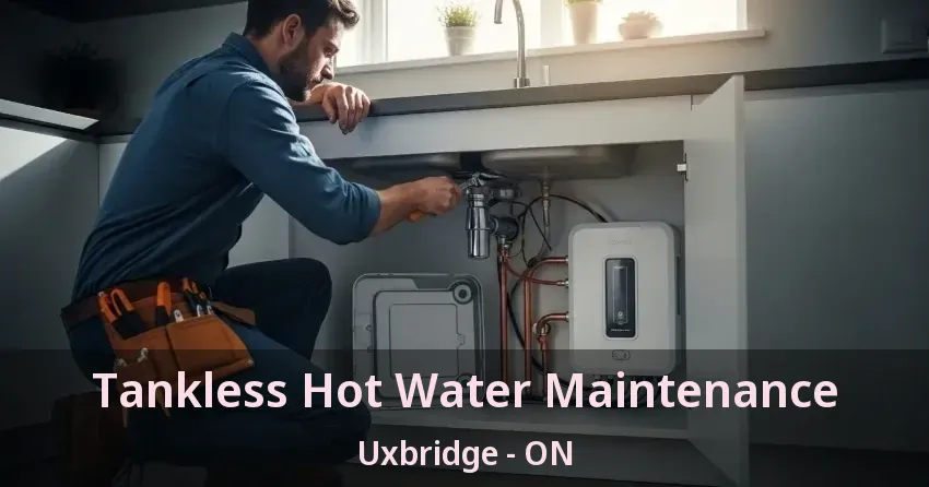 Tankless Hot Water Maintenance Uxbridge - ON