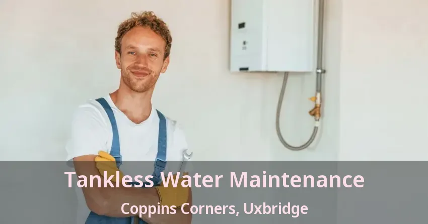 Tankless Water Maintenance Coppins Corners, Uxbridge - ON Tankless Water Maintenance Coppins Corners, Uxbridge - ON