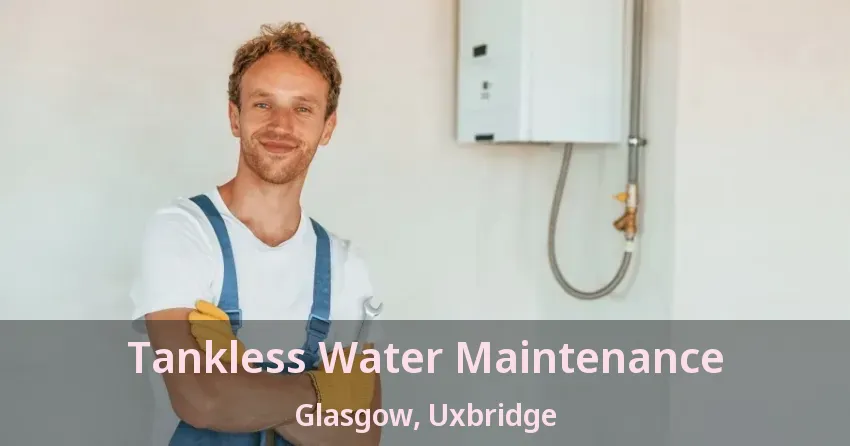 Tankless Water Maintenance Glasgow, Uxbridge - ON
