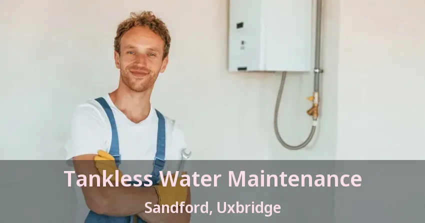 Tankless Water Maintenance Sandford, Uxbridge - ON Tankless Water Maintenance Sandford, Uxbridge - ON